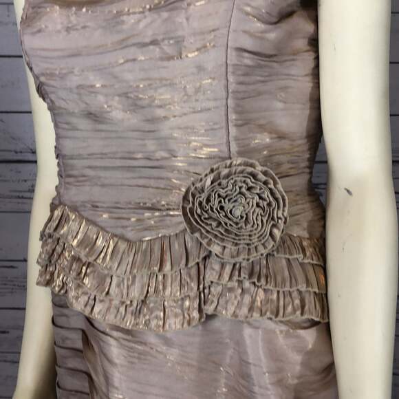 Nina Nischelle Mother of the Bride Formal Dress size 12 - Picture 5 of 12